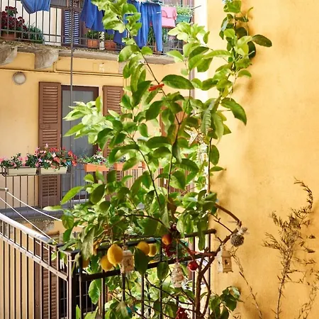 2 Bedroom On The Apartment *
